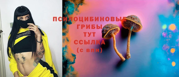 скорость Алексин