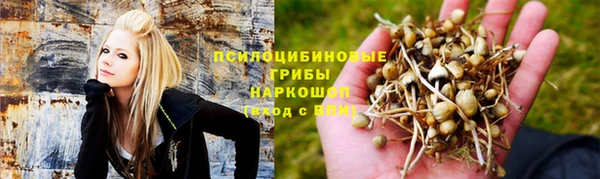 тгк Алексеевка